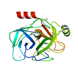 BU of 1gi1 by Molmil