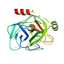 BU of 1gi6 by Molmil