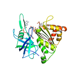 BU of 1gjr by Molmil