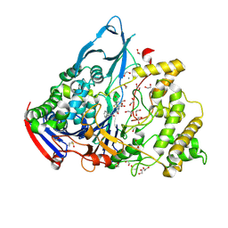 BU of 1gm7 by Molmil