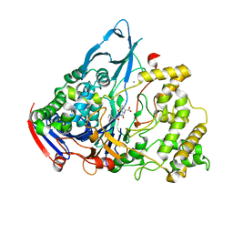 BU of 1gm8 by Molmil