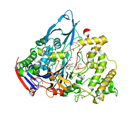 BU of 1gm9 by Molmil