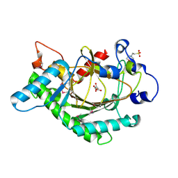 BU of 1gp4 by Molmil