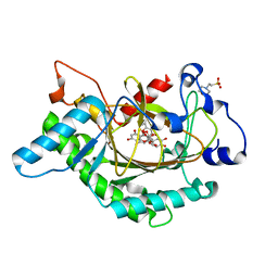 BU of 1gp5 by Molmil