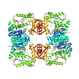 BU of 1gpm by Molmil