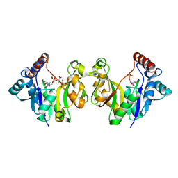 BU of 1gqc by Molmil