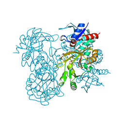 BU of 1gsa by Molmil