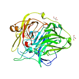 BU of 1gsk by Molmil