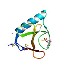 BU of 1gsp by Molmil