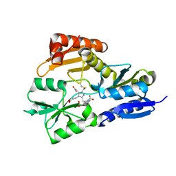 BU of 1gtk by Molmil