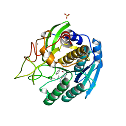 BU of 1gtl by Molmil