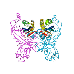 BU of 1gtq by Molmil