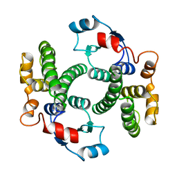 BU of 1guk by Molmil