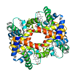 BU of 1hba by Molmil