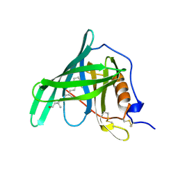 BU of 1hbp by Molmil