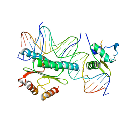 BU of 1hbx by Molmil