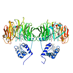 BU of 1hcm by Molmil