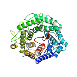 BU of 1hcu by Molmil