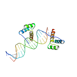 BU of 1hdd by Molmil