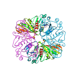 BU of 1hdg by Molmil