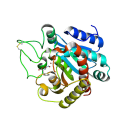 BU of 1hdq by Molmil