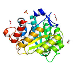 BU of 1hf6 by Molmil