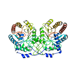 BU of 1hfb by Molmil