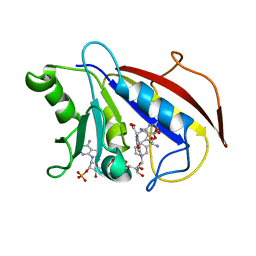 BU of 1hfp by Molmil