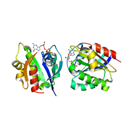 AU of 1hfv by Molmil