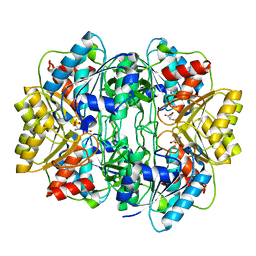 BU of 1hg1 by Molmil