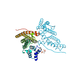 BU of 1hg2 by Molmil