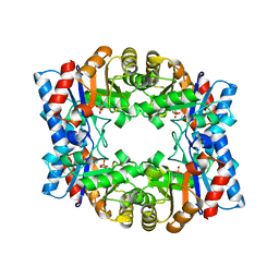 BU of 1hg3 by Molmil