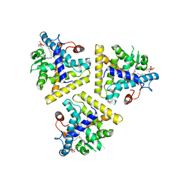 BU of 1hg4 by Molmil