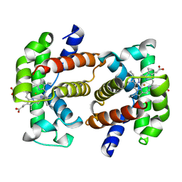 AU of 1hhb by Molmil
