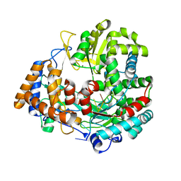 BU of 1hht by Molmil