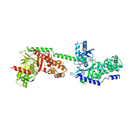 BU of 1hkb by Molmil