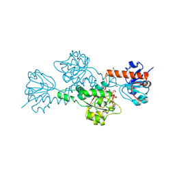 BU of 1hku by Molmil