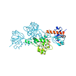 BU of 1hku by Molmil