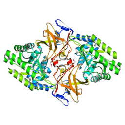 BU of 1hkw by Molmil