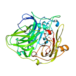 AU of 1hl1 by Molmil