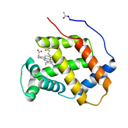 BU of 1hlb by Molmil