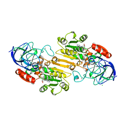 BU of 1htb by Molmil