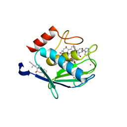 BU of 1hv5 by Molmil