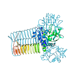 BU of 1hv9 by Molmil