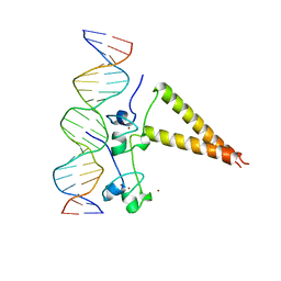 BU of 1hwt by Molmil