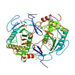 BU of 1hxp by Molmil