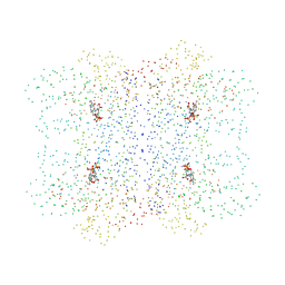 BU of 1i41 by Molmil