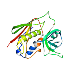BU of 1i4q by Molmil