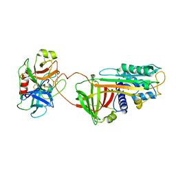 AU of 1i99 by Molmil