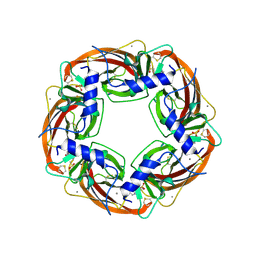 BU of 1i9b by Molmil